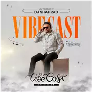 آهنگ دی جی شهراد به نام وایب کست 5