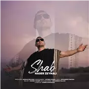آهنگ ناصر زینلی به نام شب
