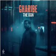 آهنگ د دان به نام غریبه
