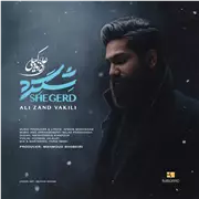 آهنگ علی زند وکیلی به نام شگرد