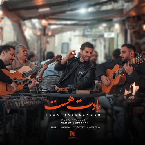 رضا ملک زاده یادت هست آهنگ رضا ملک زاده به نام یادت هست