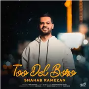 آهنگ شهاب رمضان به نام تو دل برو