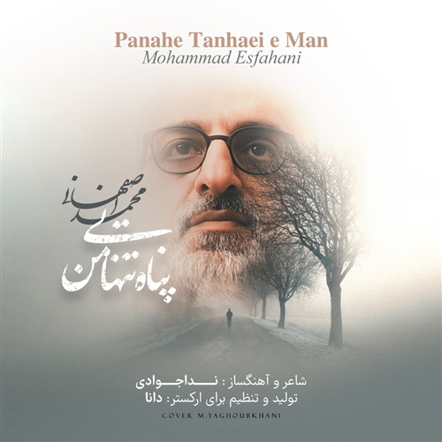 محمد اصفهانی پناه تنهایی من آهنگ محمد اصفهانی به نام پناه تنهایی من
