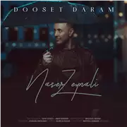 آهنگ ناصر زینلی به نام دوست دارم
