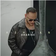 آهنگ اشوان به نام غریبه