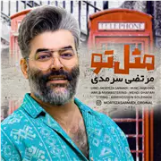 آهنگ مرتضی سرمدی به نام مثل تو