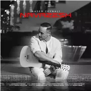 آهنگ ناصر زینلی به نام نوازش