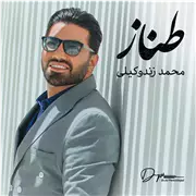 آهنگ محمد زند وکیلی به نام طناز