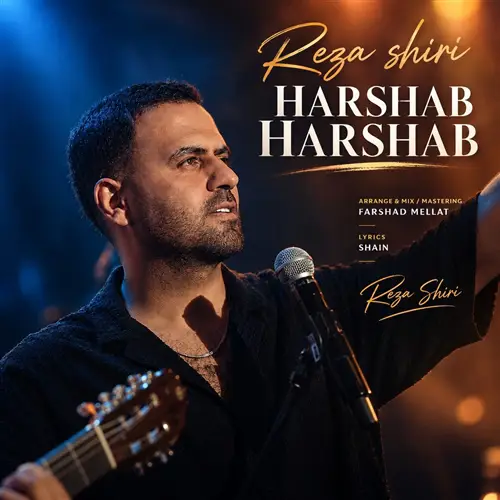 آهنگ رضا شیری به نام هر شب هر شب